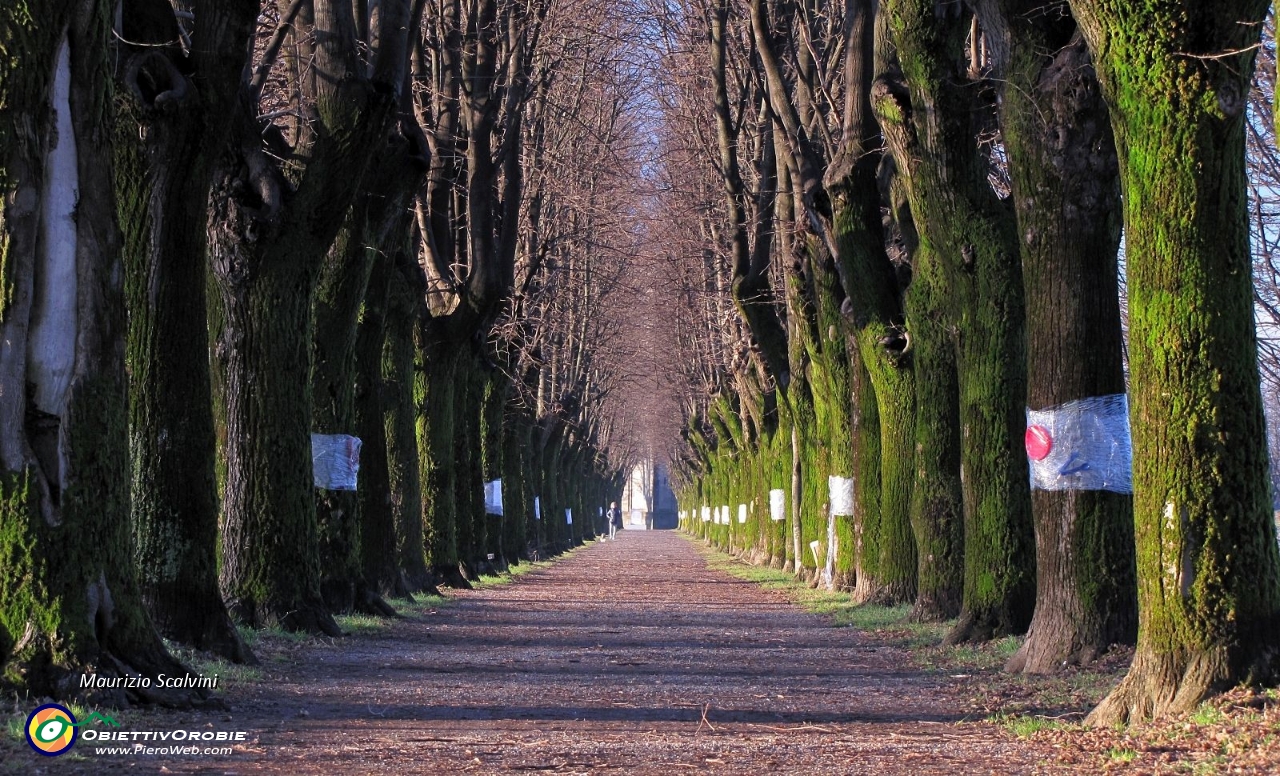 03 Il lungo viale della Madonna della Prada....JPG